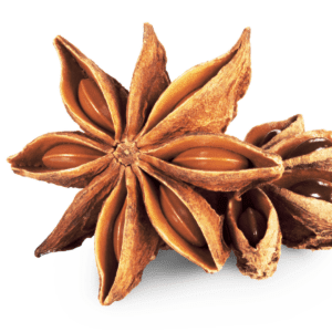 A close up of an anise star on a white background