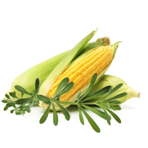 UTI Complaint Urinary Support