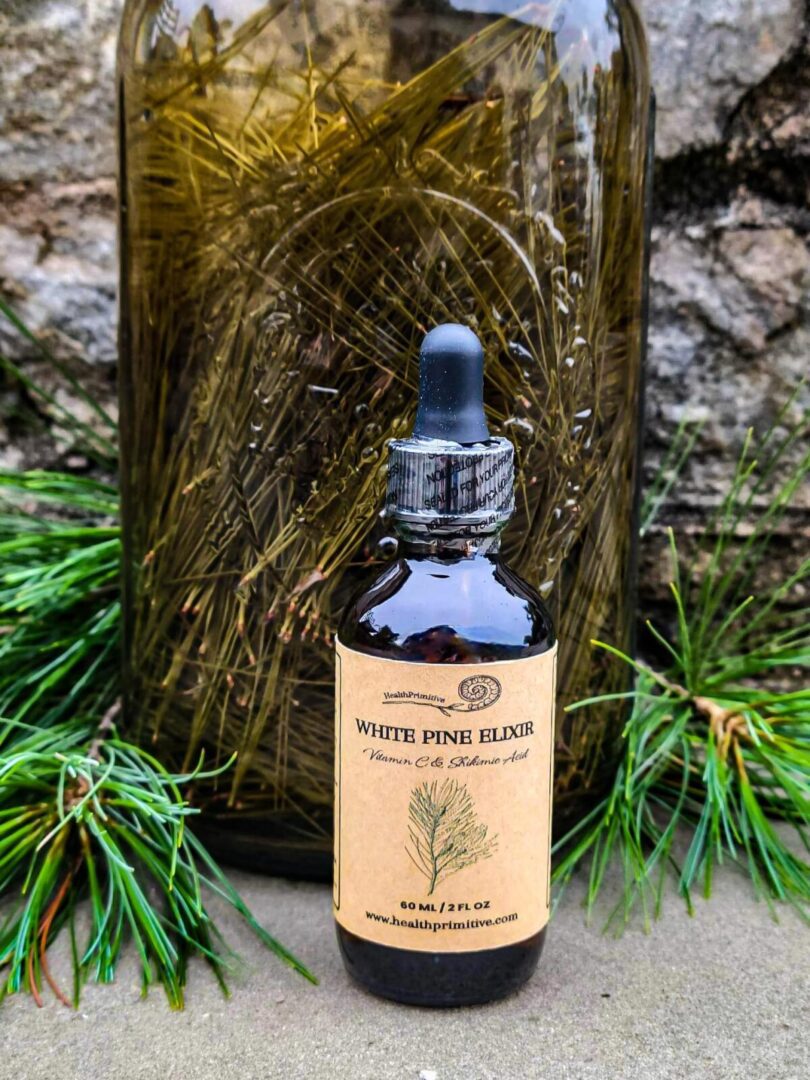 White Pine Elixir HealthPrimitive