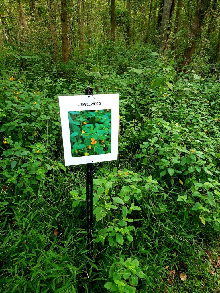 A sign in the middle of some bushes