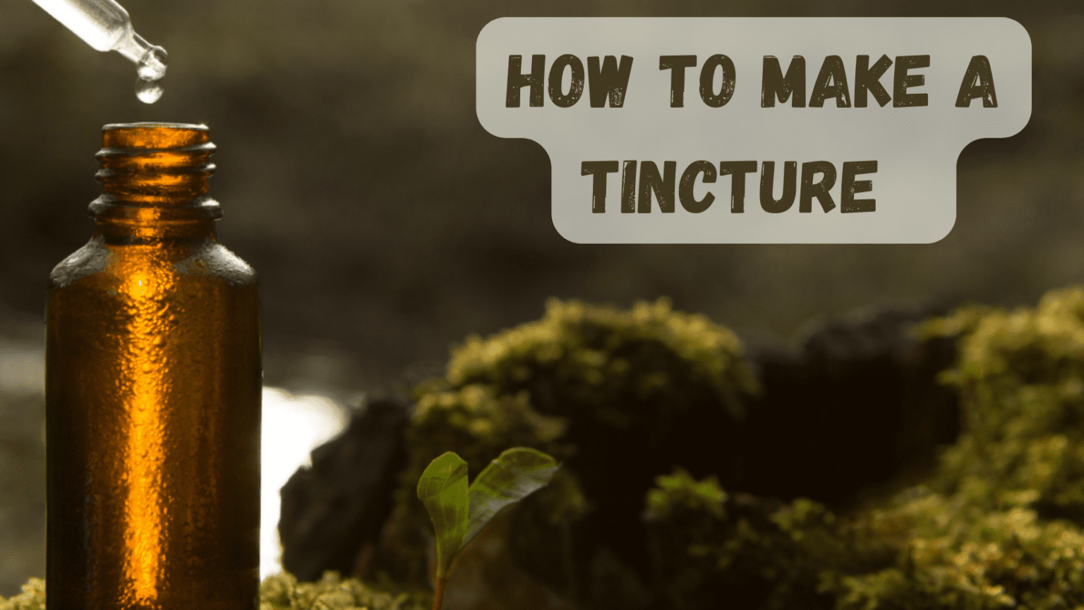 How to make a Tincture HealthPrimitive