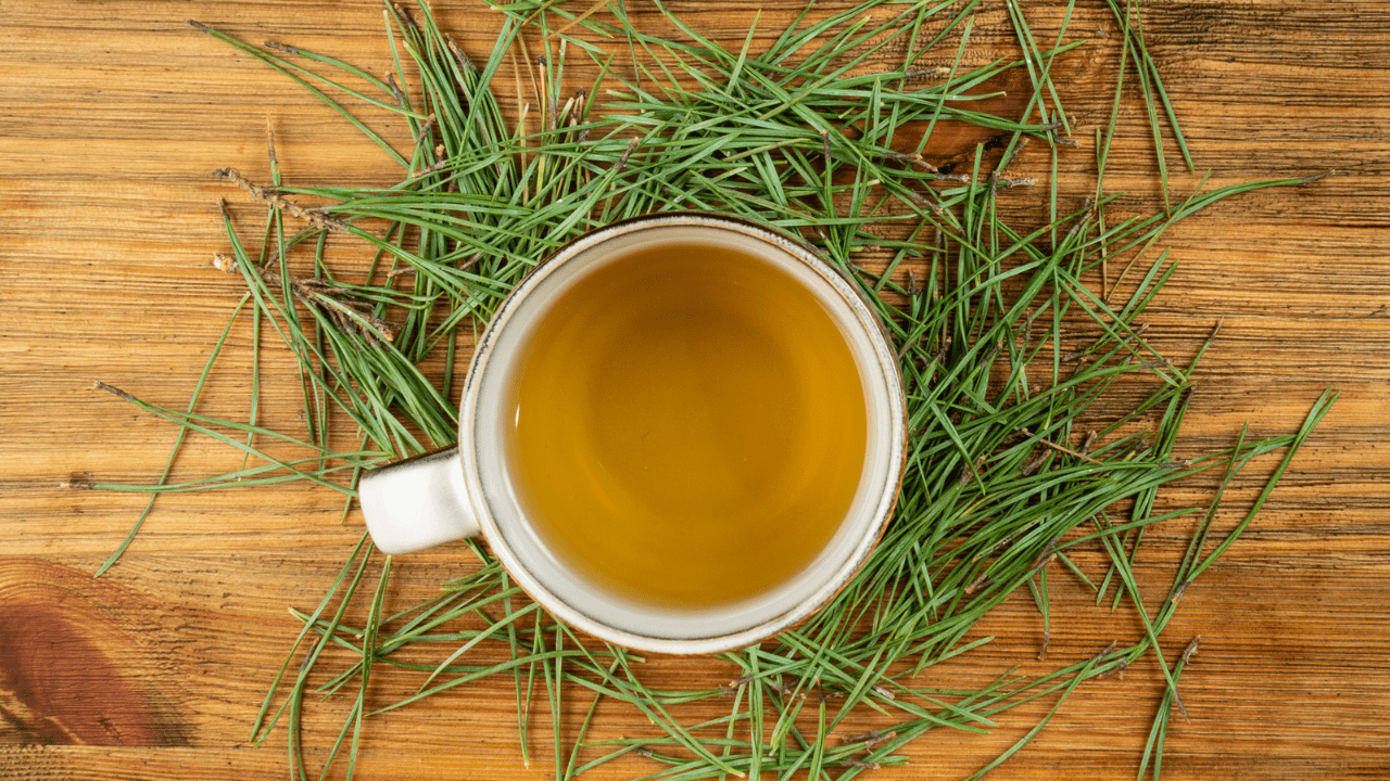 A cup of tea sitting on top of grass.