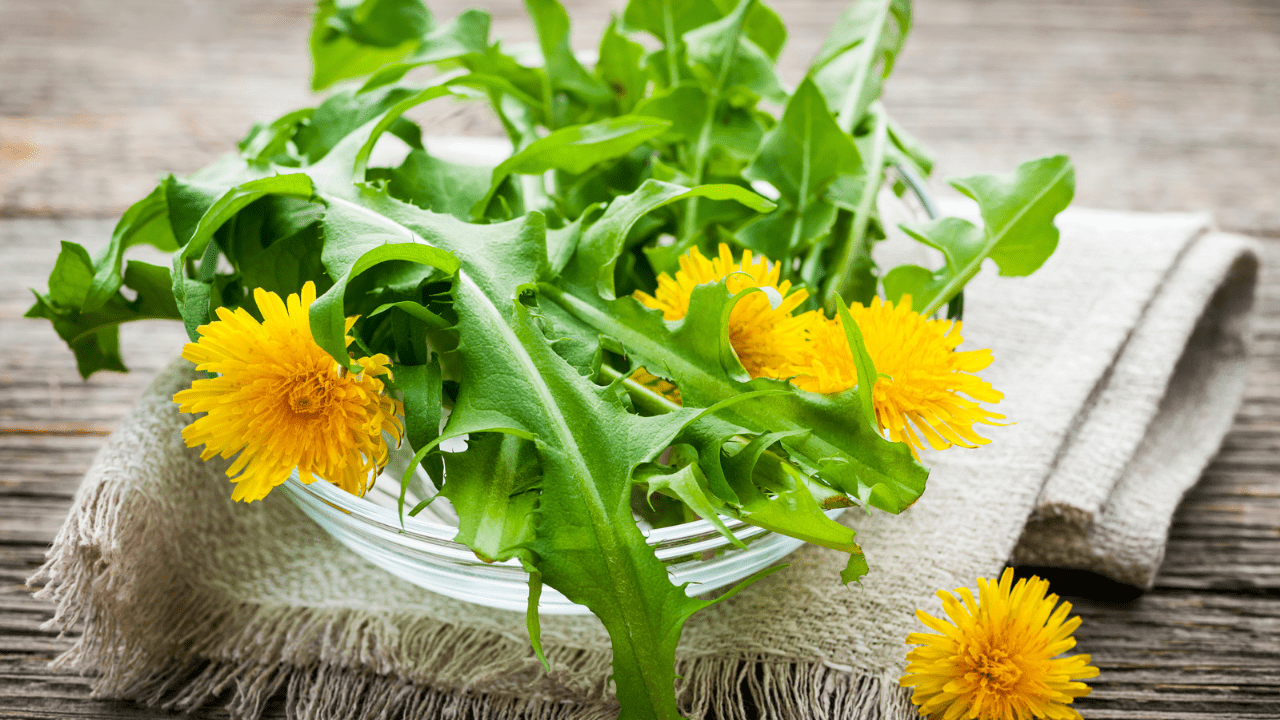 A bowl of green leafy vegetables with yellow flowers.