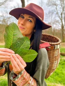 Star Anise, The Star Of Health ~ HealthPrimitive