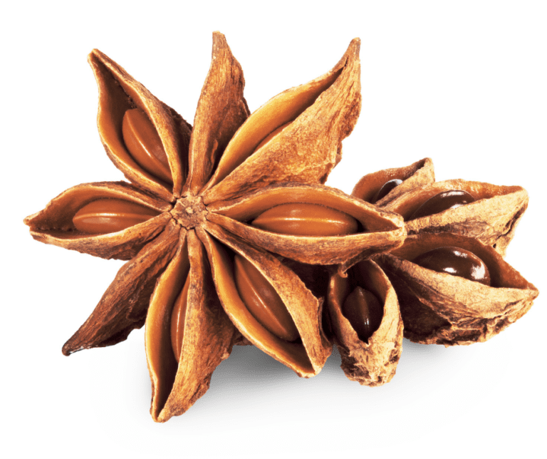 Star Anise, The Magical Star Of Health HealthPrimitive