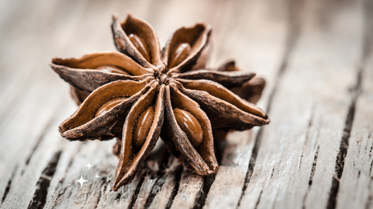 A star anise on top of a wooden table.