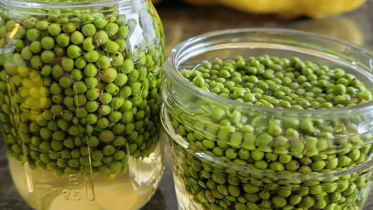 A jar of green peas is next to another jar.