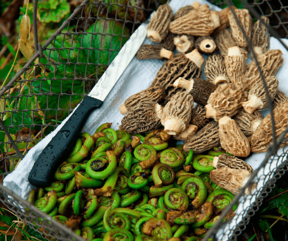 A tray of mushrooms and green peppers on the ground.