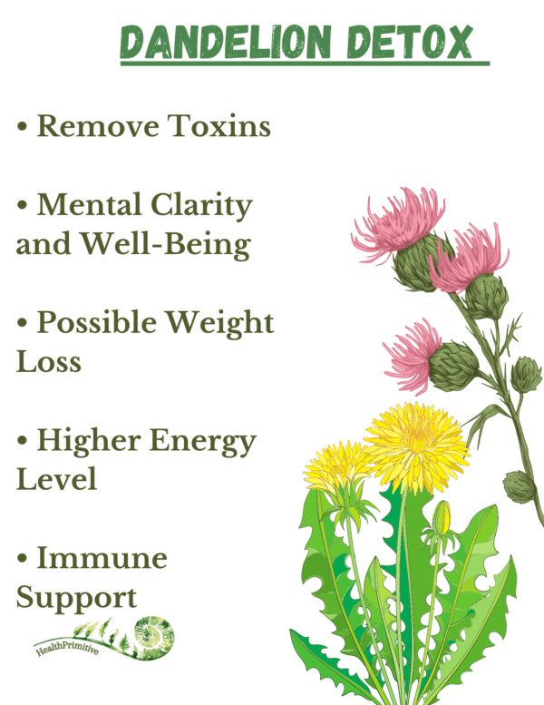 A picture of some flowers with the words " remove toxins, mental clarity and well-being ", possible weight loss, higher energy level, immune