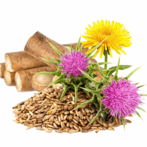 Dandelion Detox