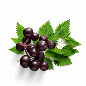 Children's Allergy Calm