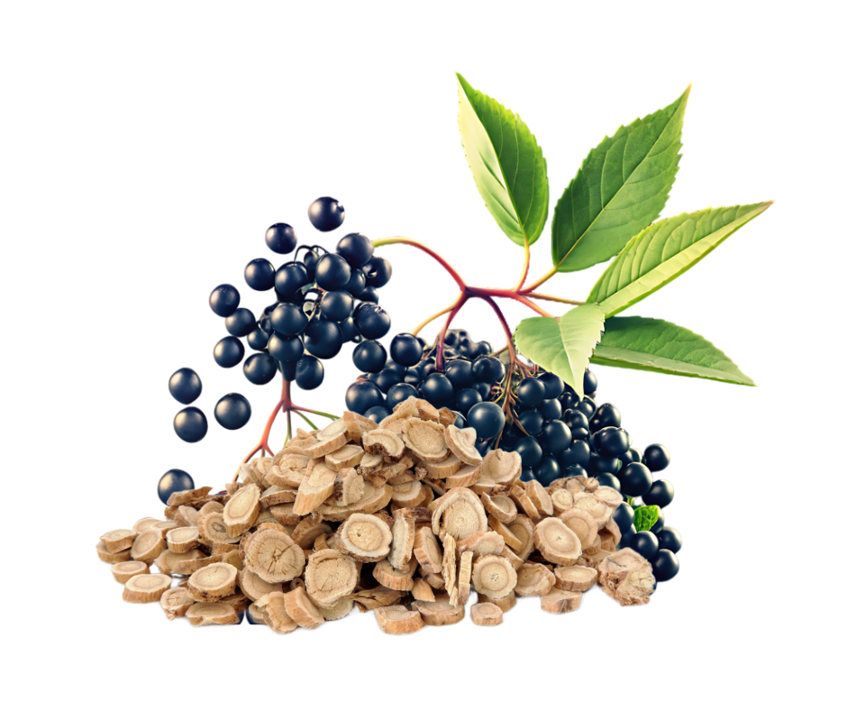 Children's Gentle Wellness