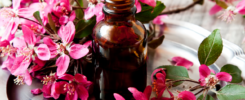 A bottle of essential oil surrounded by pink flowers.