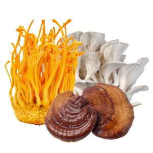 A group of mushrooms and other vegetables on a white background