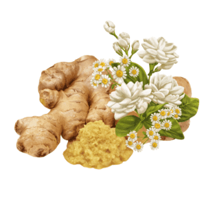 A bunch of flowers and ginger root on a table
