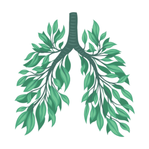 Respiratory Support Combo