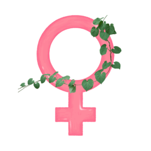 Women's Health Bundle