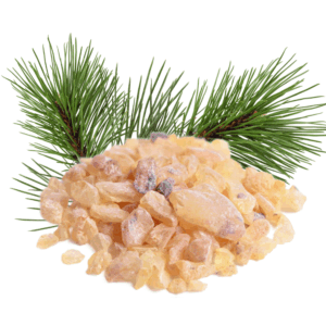 Pine Resin Salve