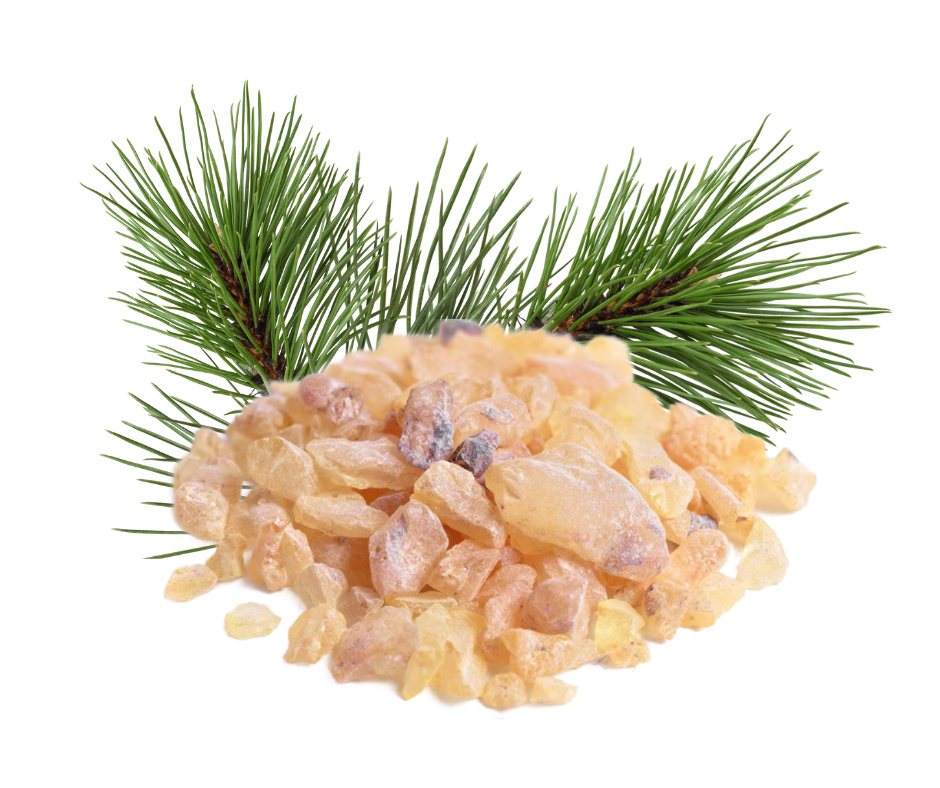 Pine Resin Salve