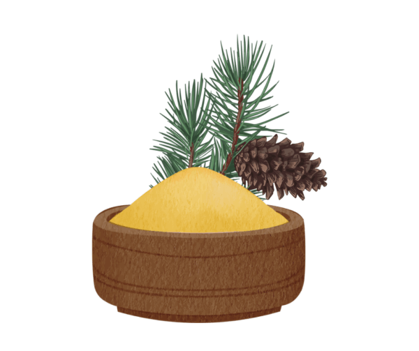 Pine Pollen Extract