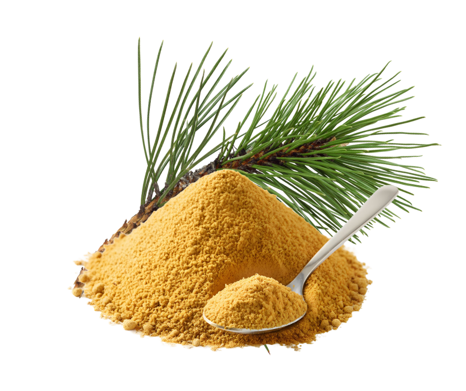 Pine Pollen Extract
