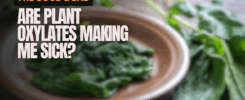YouTube thumbnail asking "Are plant oxylates making me sick?"  Overhead shot of spinach in a brown dish.