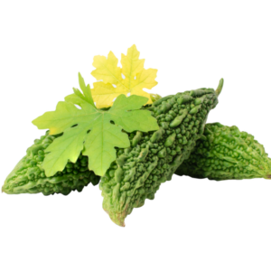 Bitter Melon Extract